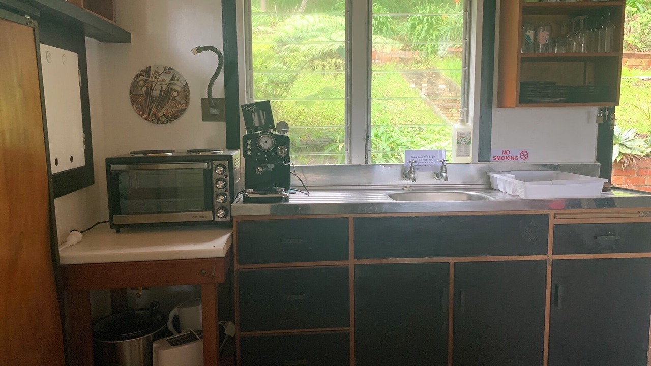 Photo of Others in Piha