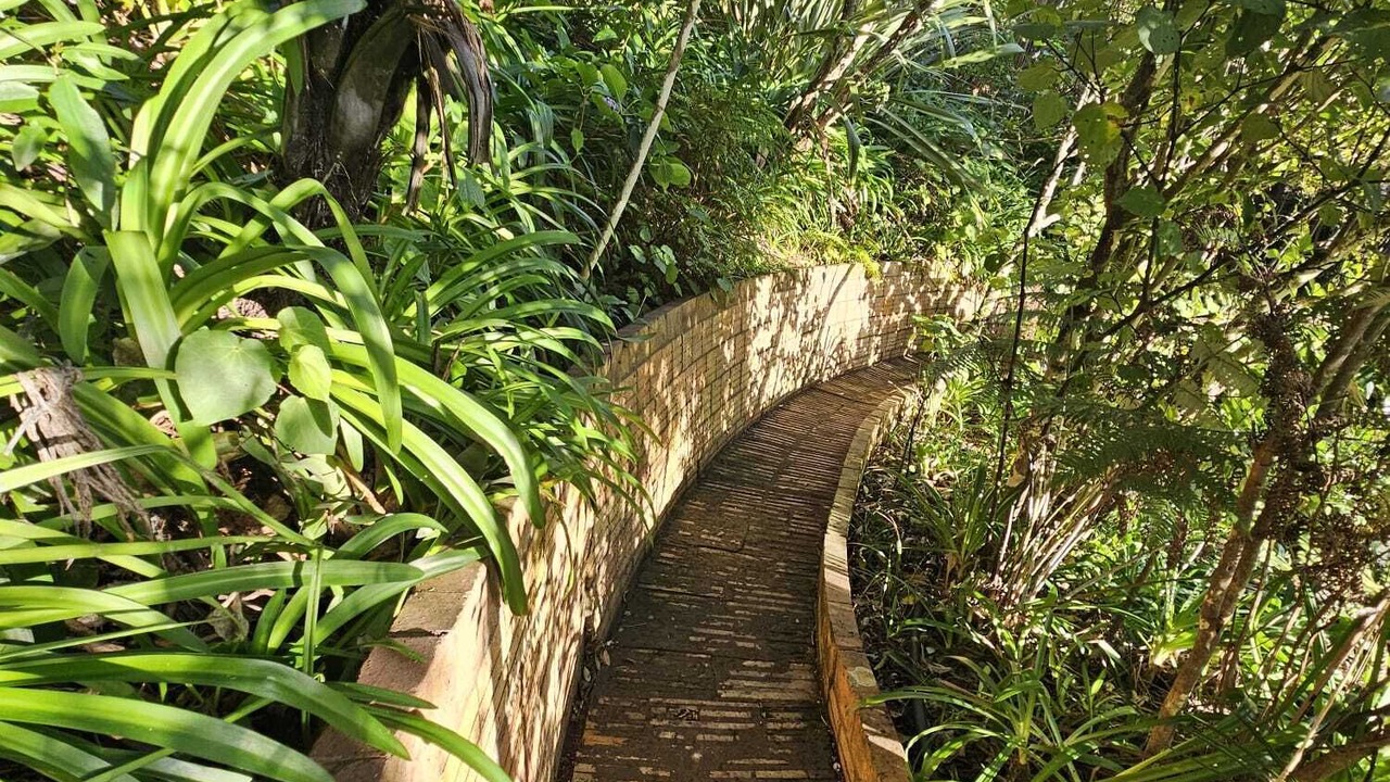 Photo of Others in Piha