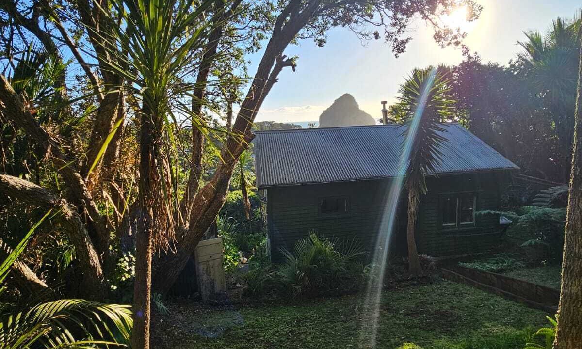 Photo of Others in Piha