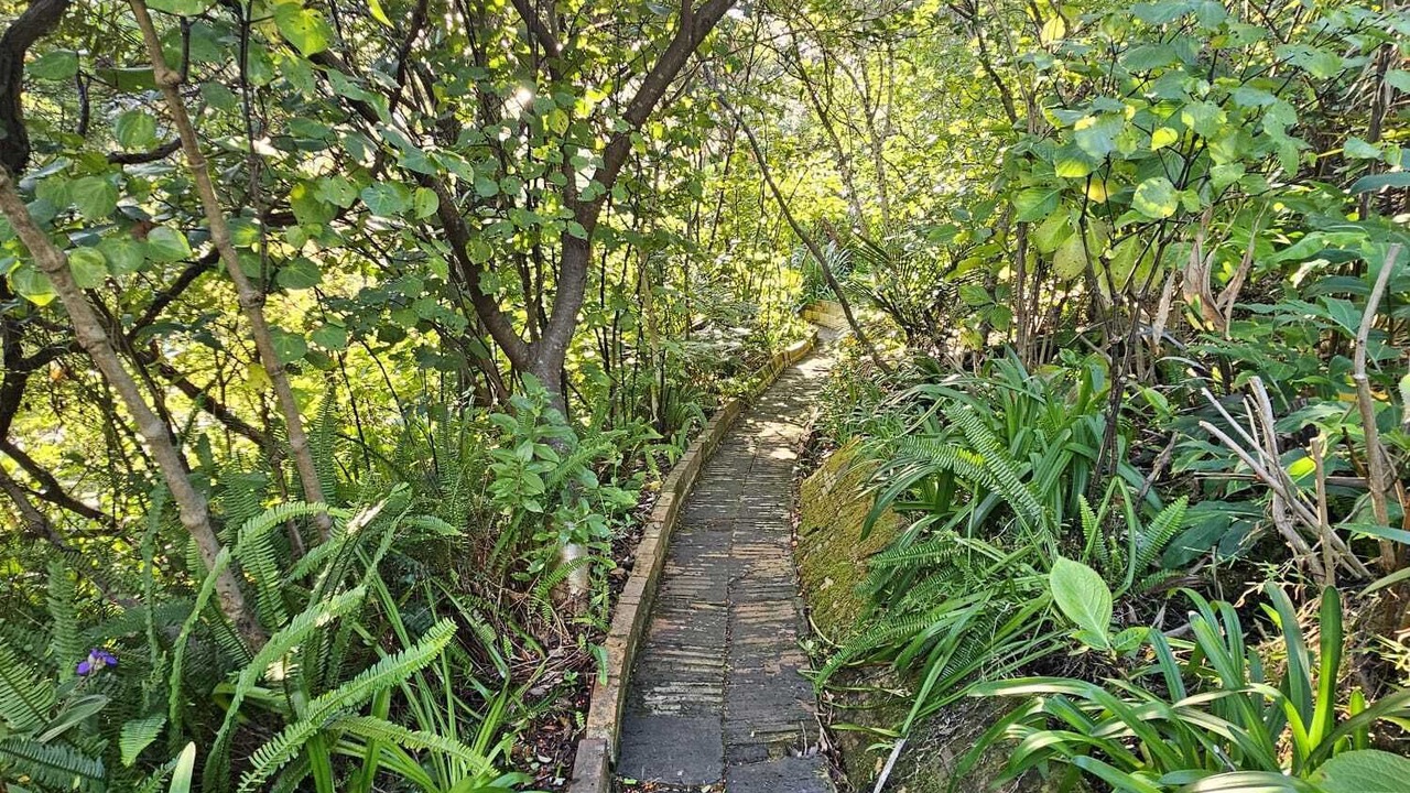 Photo of Others in Piha