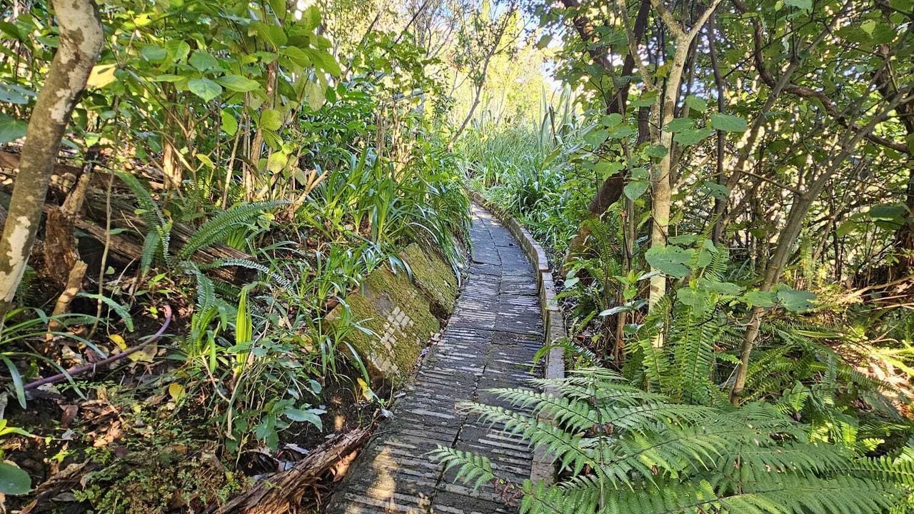 Photo of Others in Piha