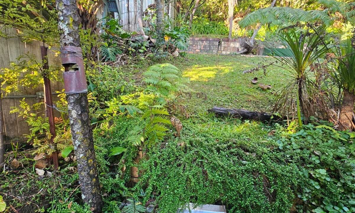 Photo of Others in Piha