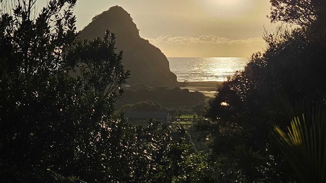Photo of Others in Piha