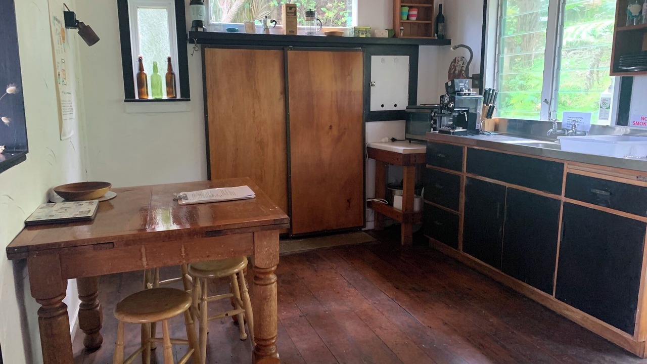 Photo of Others in Piha