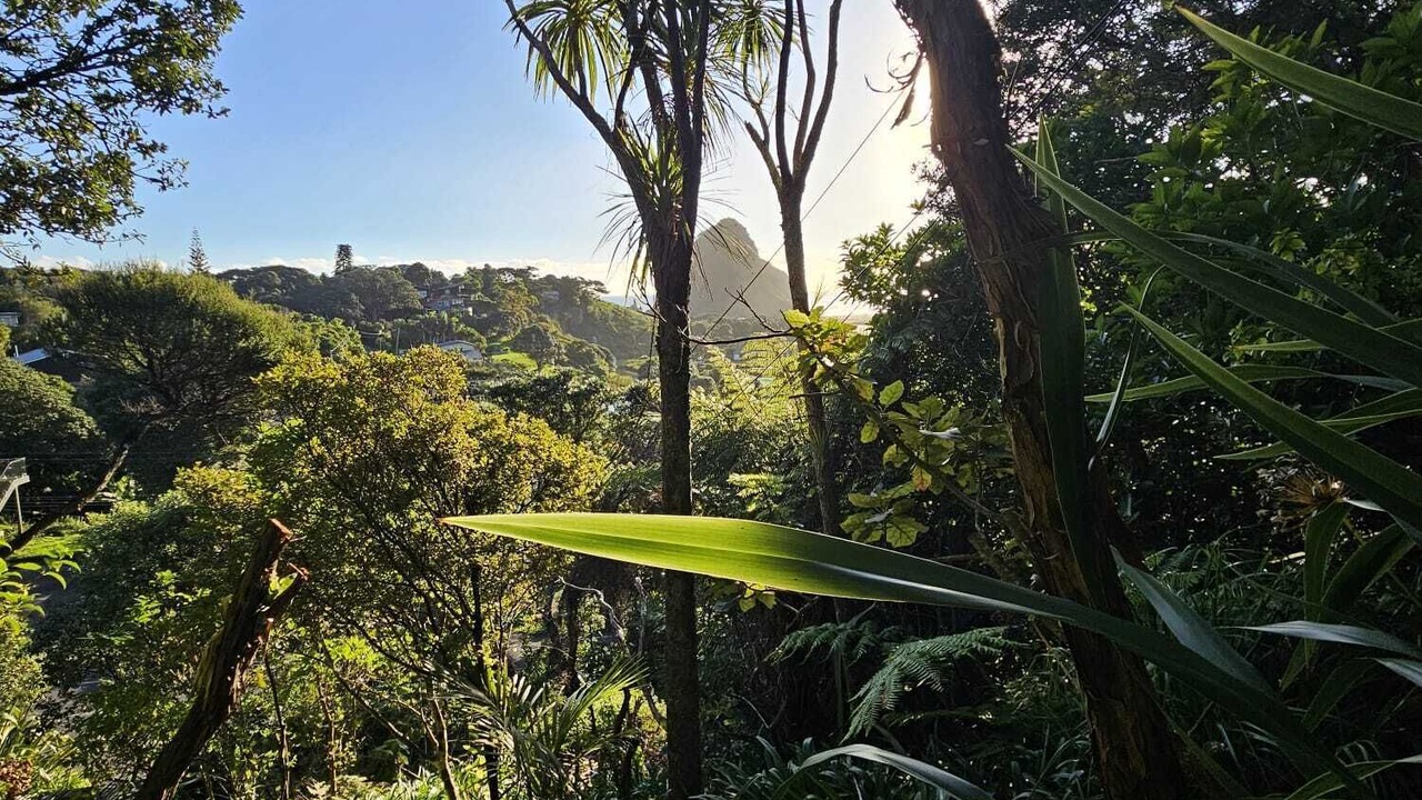 Photo of Others in Piha