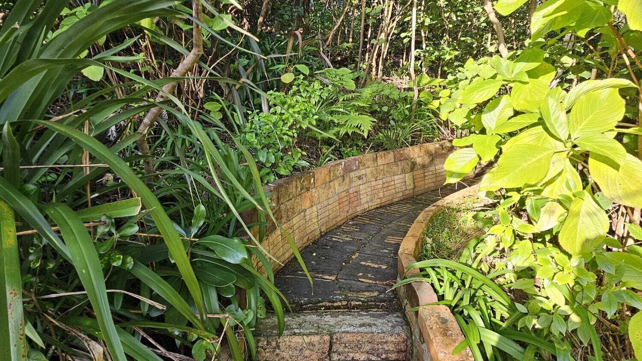 Photo of Others in Piha