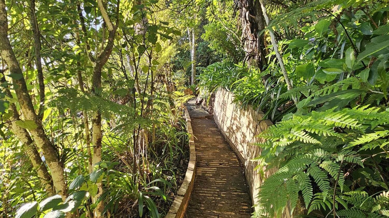 Photo of Others in Piha