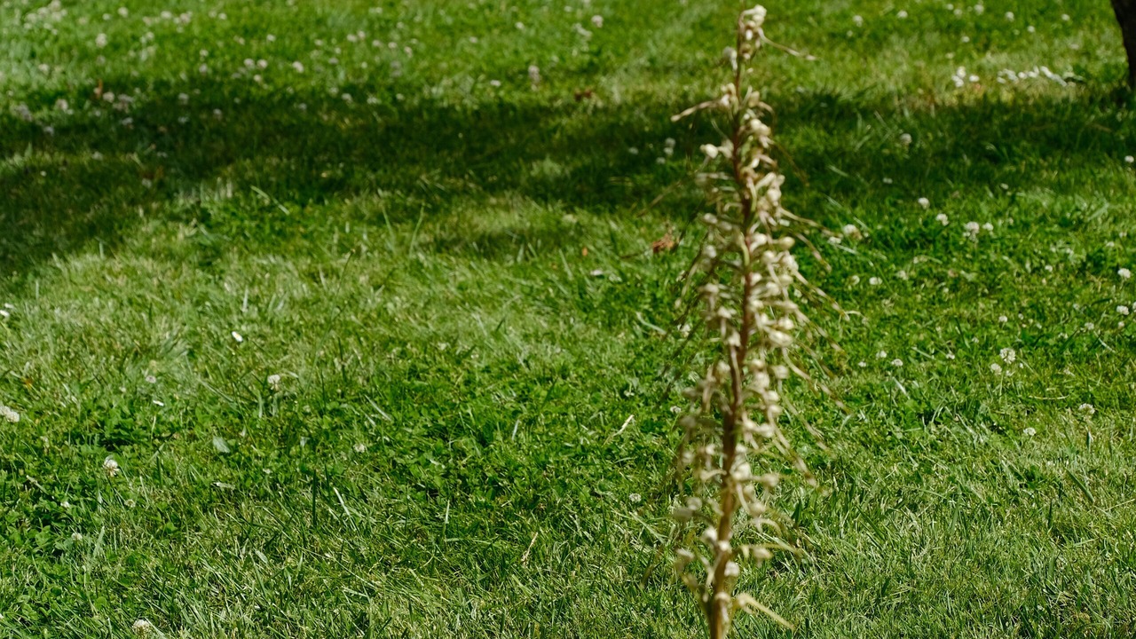 Photo of Outdoor in Saint-Marc-la-Lande