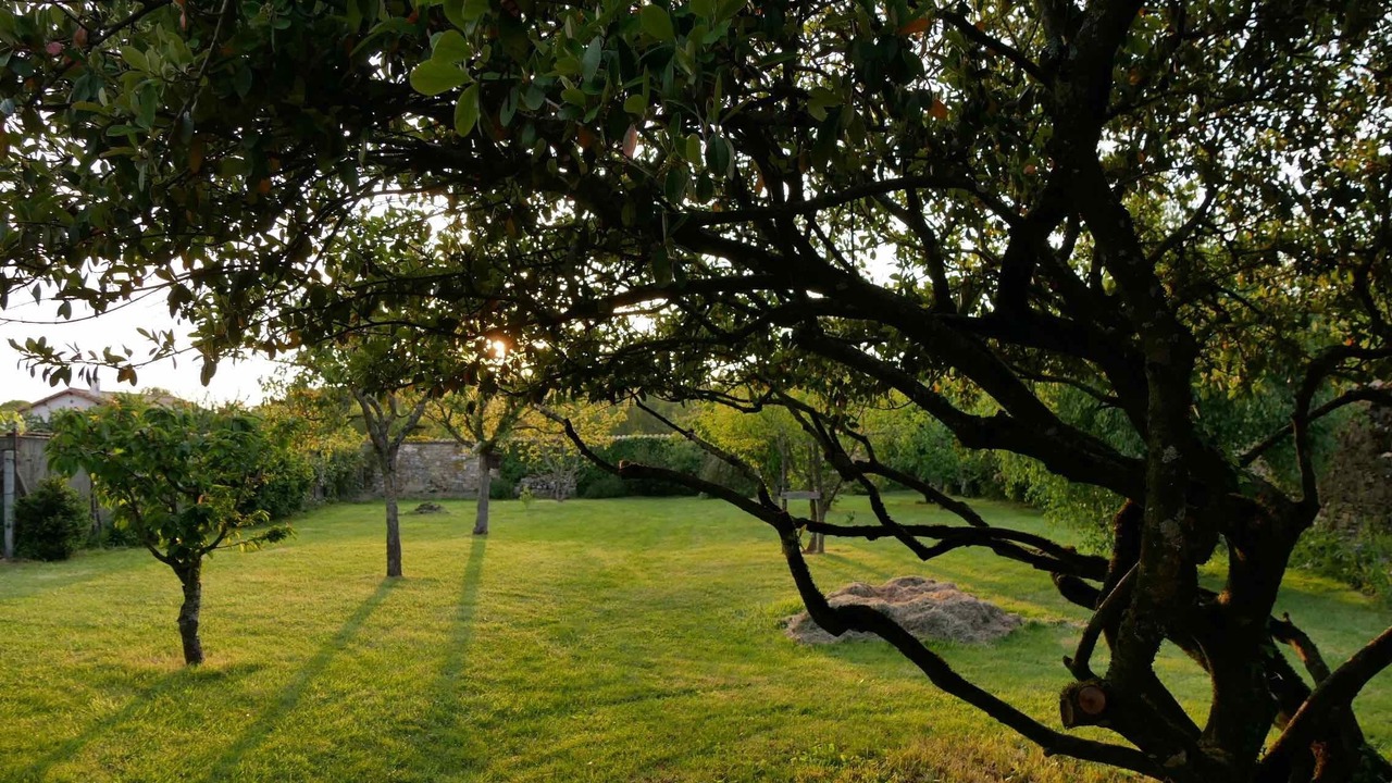 Photo of Outdoor in Saint-Marc-la-Lande