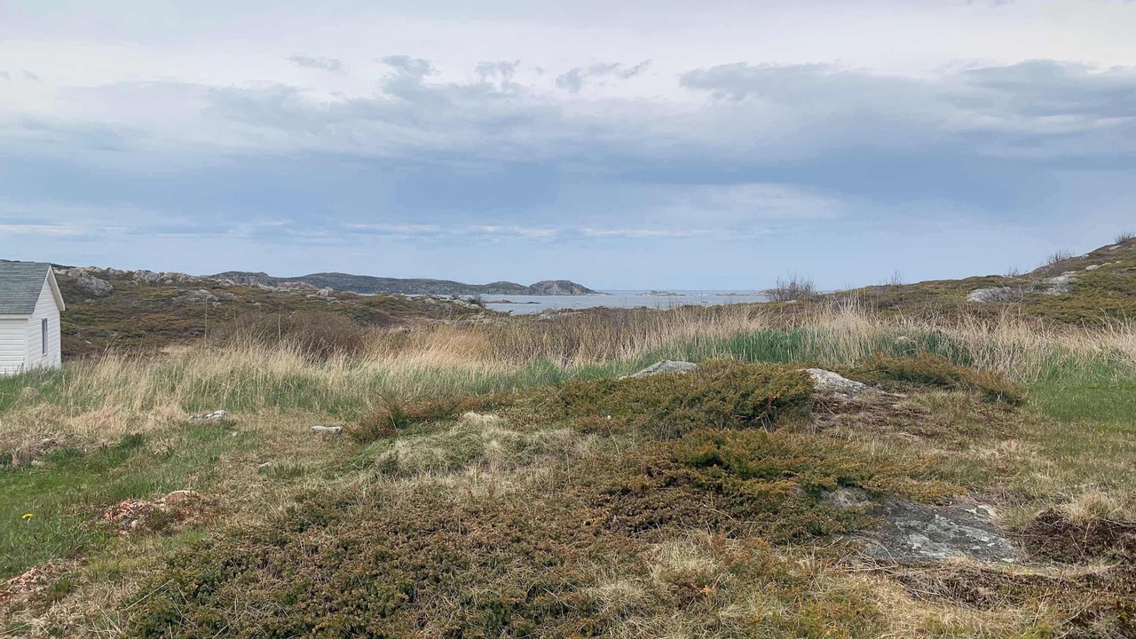 Photo of Others in Twillingate