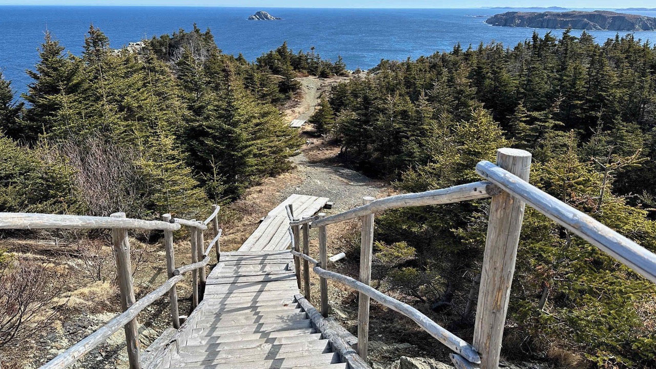 Photo of Others in Crow Head