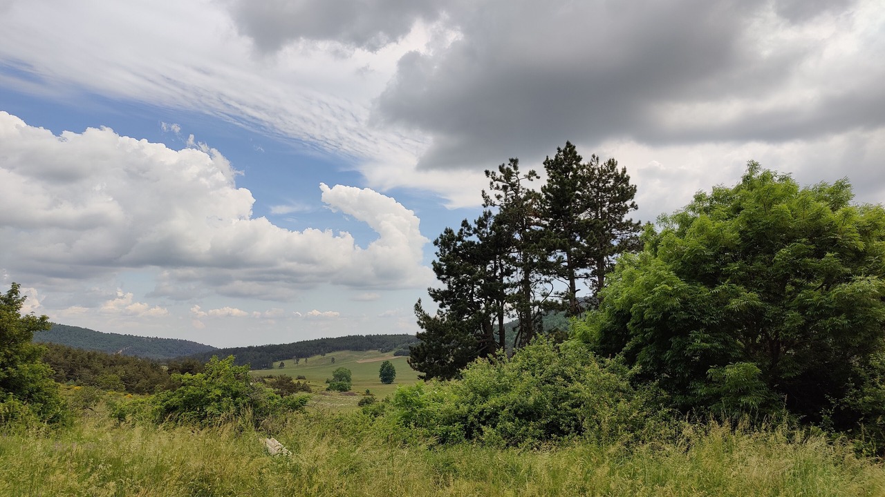 Photo of Others in Barret-de-Lioure