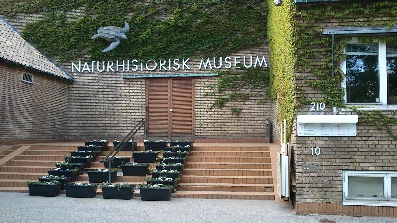 Photo of Outdoor in Vesterbro