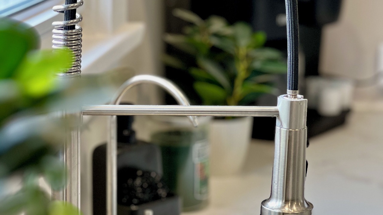 Photo of Others in Day