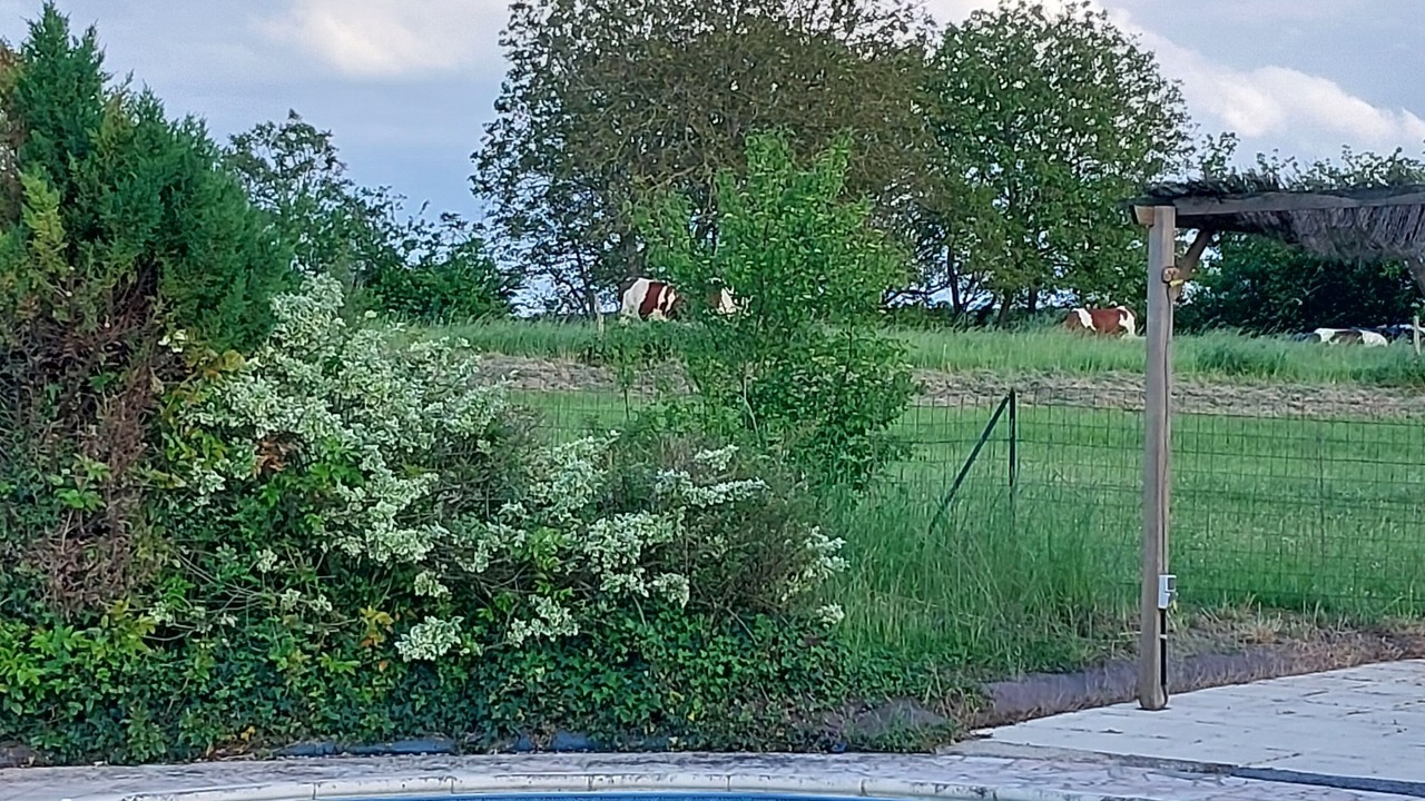 Photo of Others in Boce