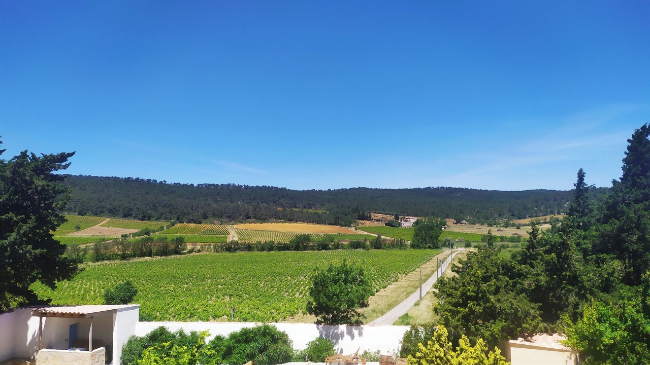 Photo of Others in Lagrasse