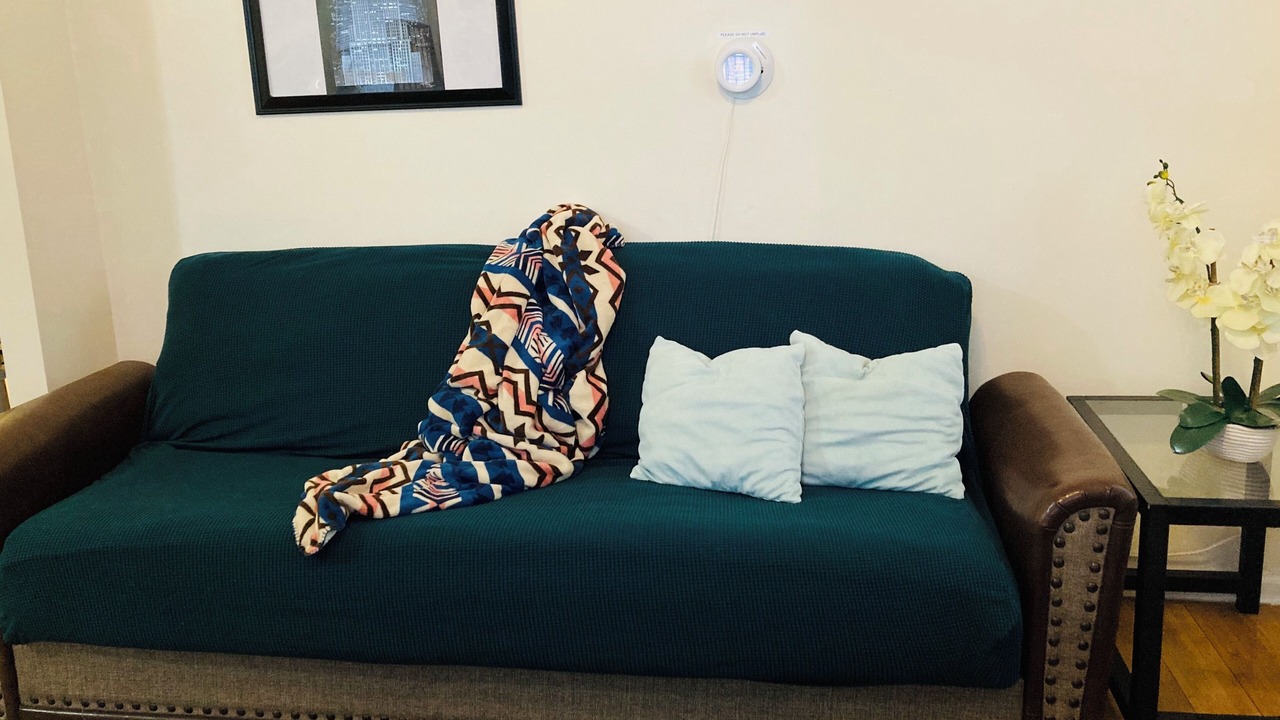 Photo of Livingroom in University Heights