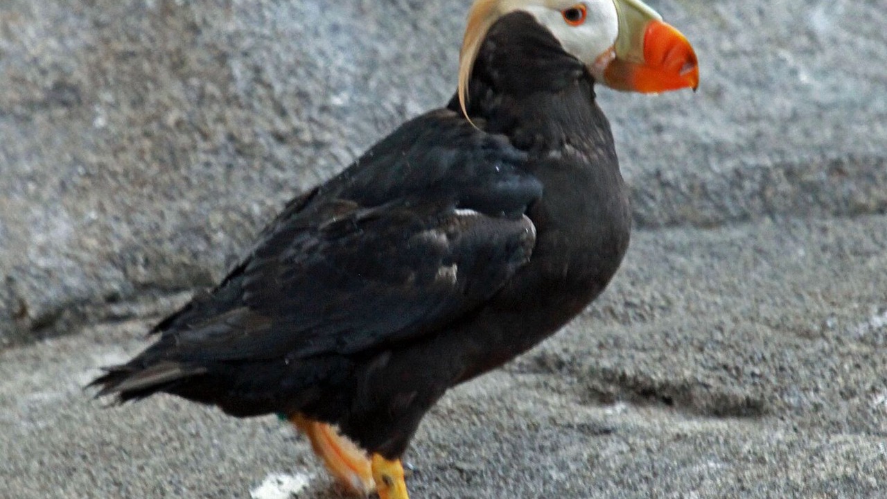 Photo of Others in Nelscott