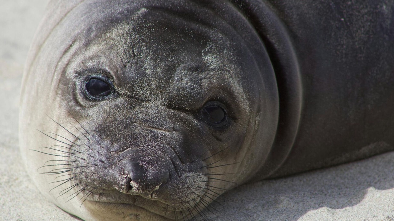 Photo of Others in Nelscott