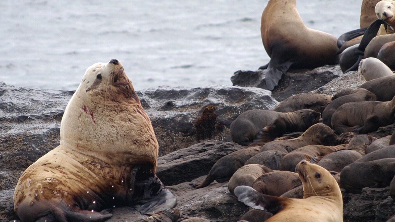 Photo of Others in Nelscott