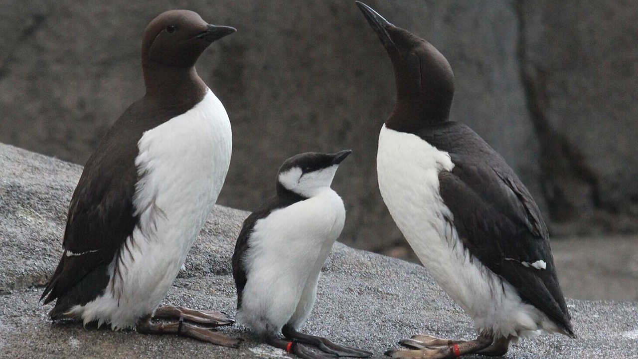 Photo of Others in Nelscott