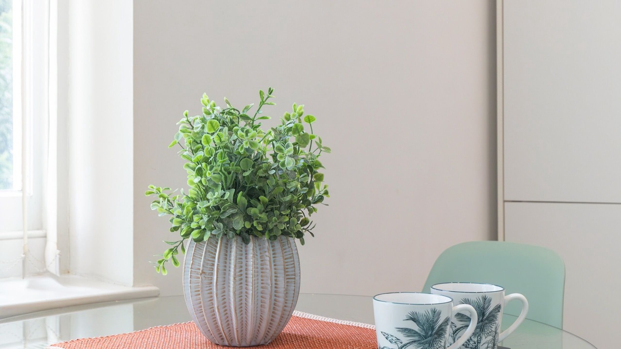 Photo of Others in South Hampstead