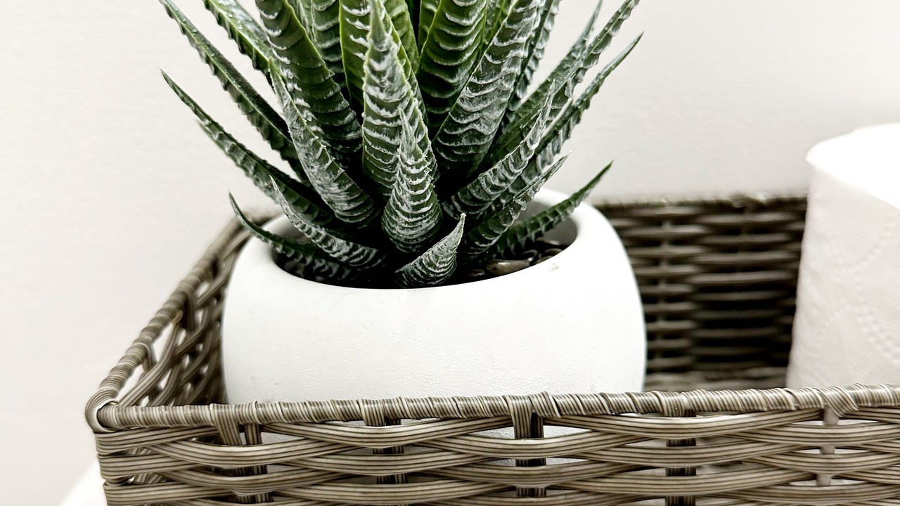 Photo of Others in Newnan