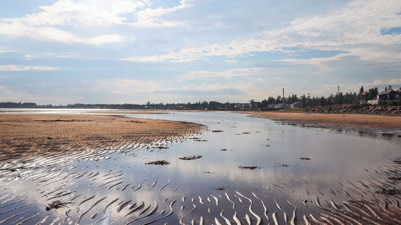 Photo of Others in Fernwood