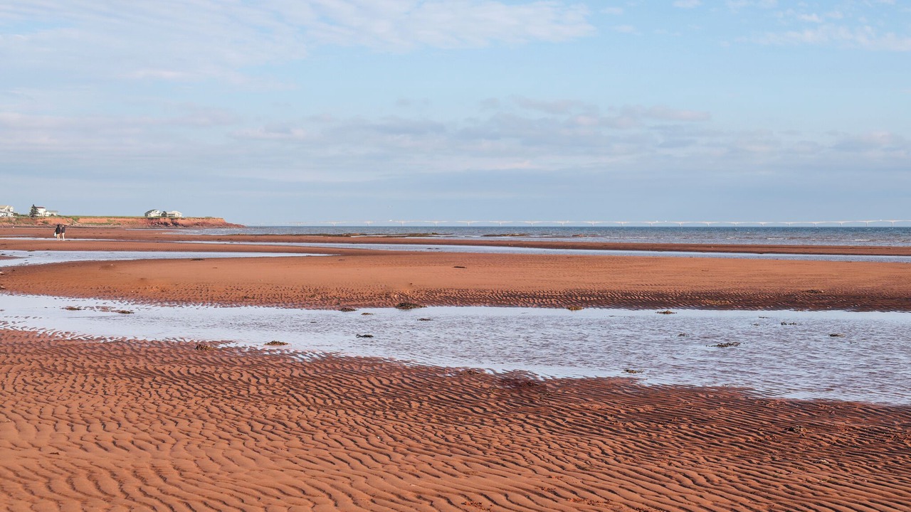 Photo of Others in Fernwood