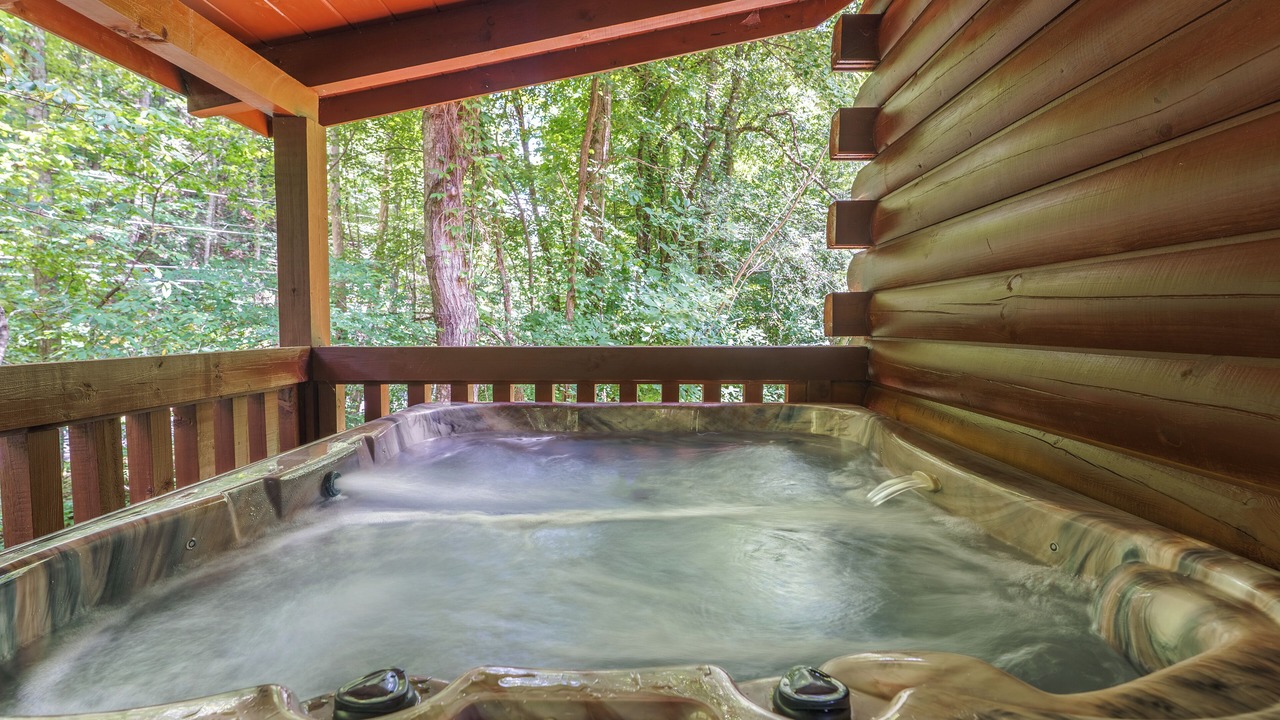 Photo of Outdoor in Sevierville