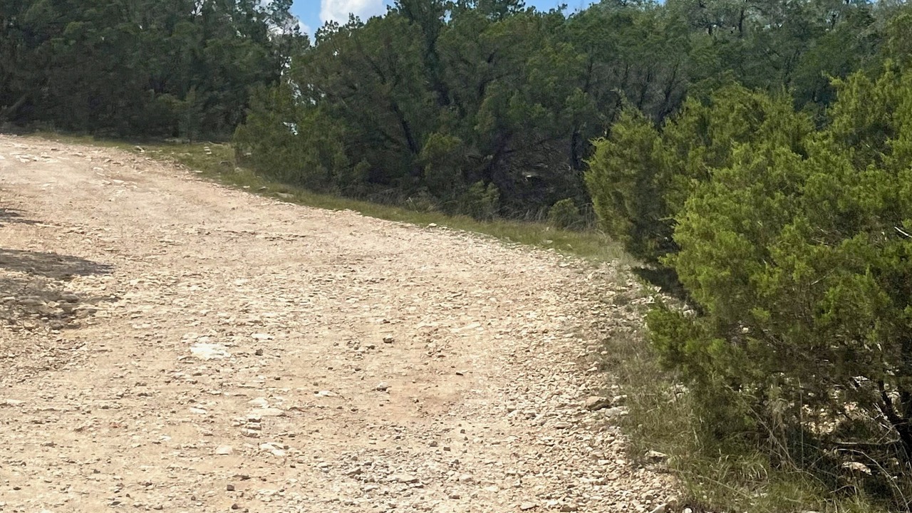 Photo of Others in Canyon Lake