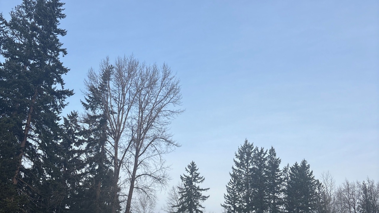 Photo of Others in McKenna