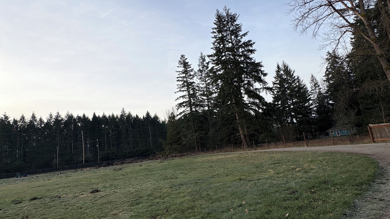 Photo of Others in McKenna