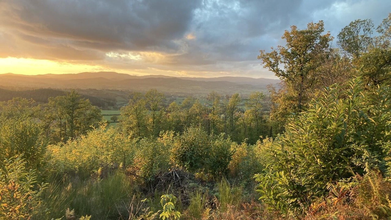 Photo of Others in Etang-sur-Arroux