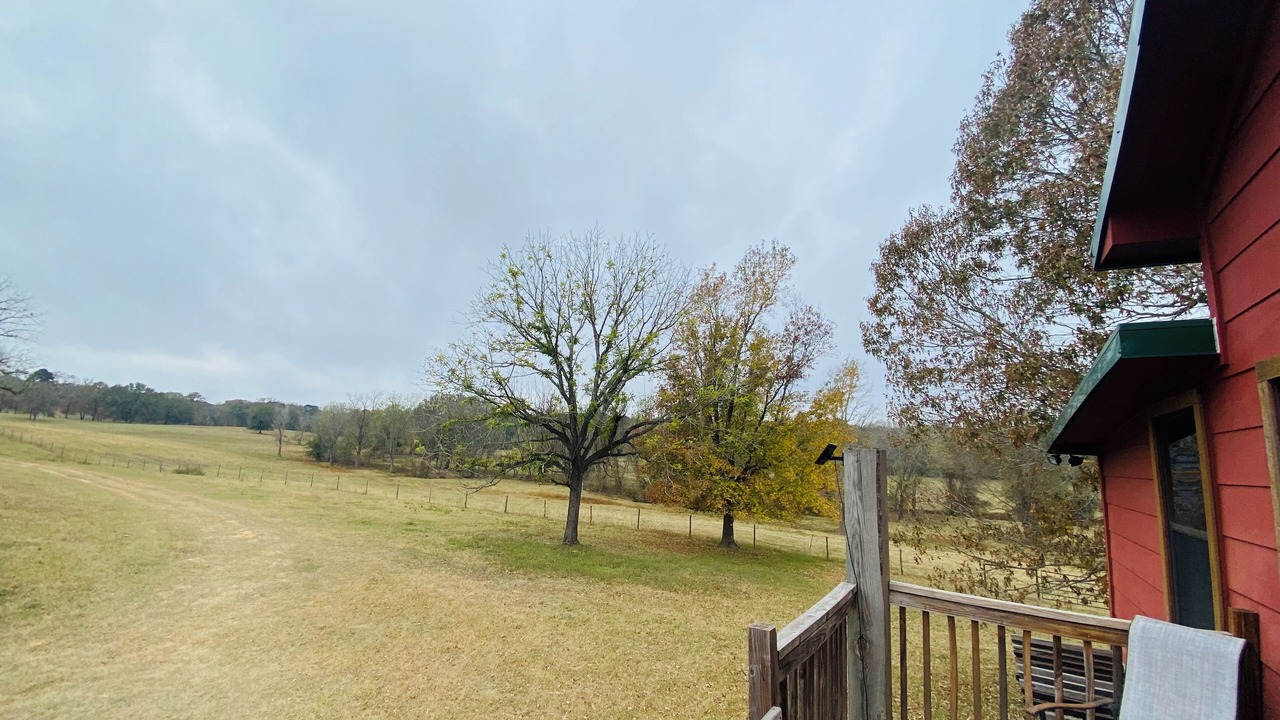 Photo of Outdoor in Jacksonville