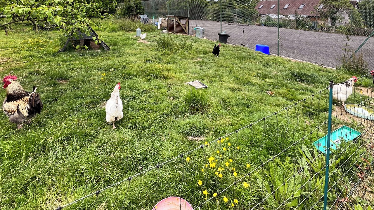 Photo of Others in Ashford