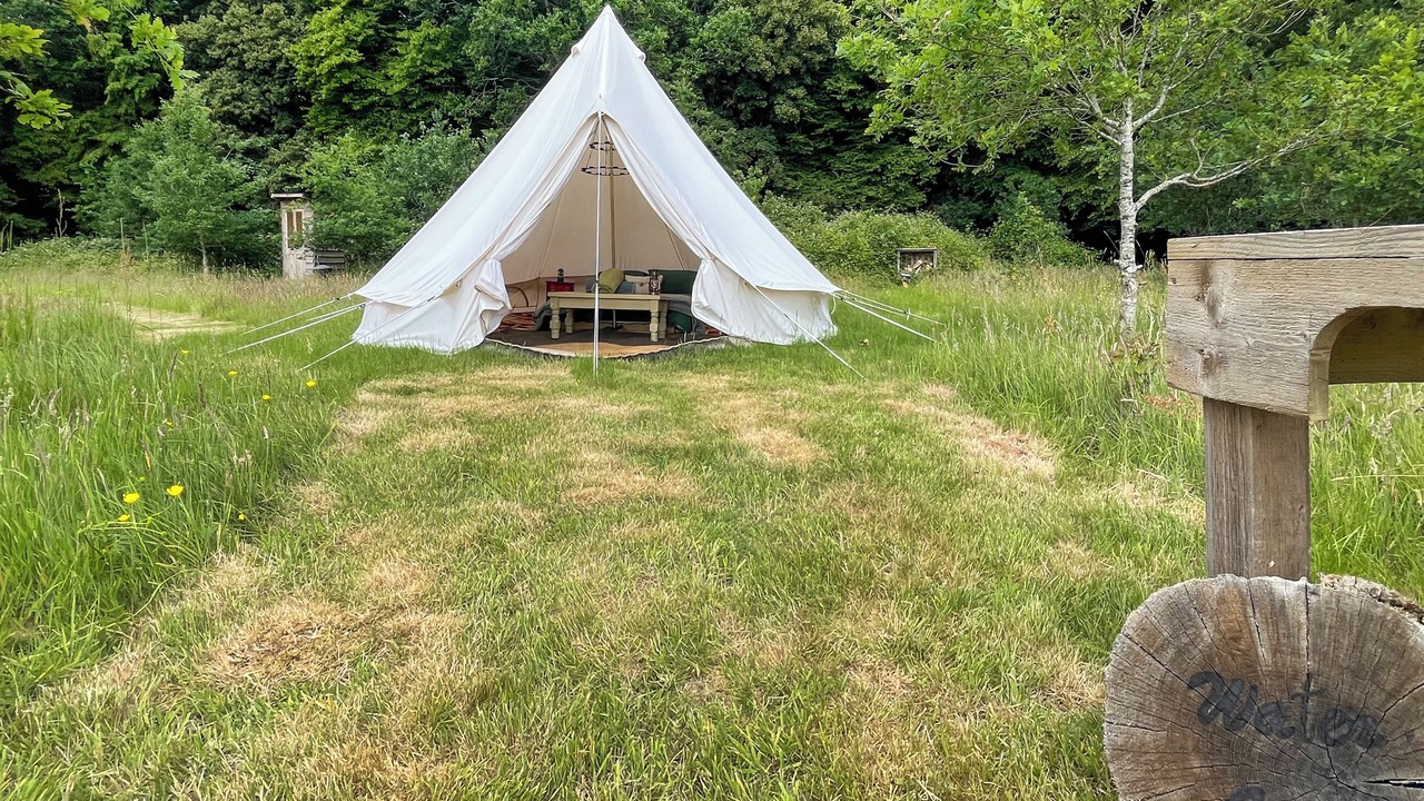 Photo of Others in Ashford