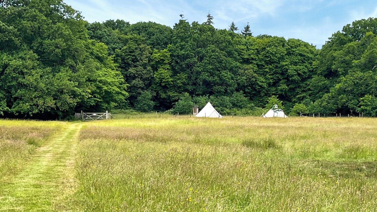 Photo of Others in Ashford