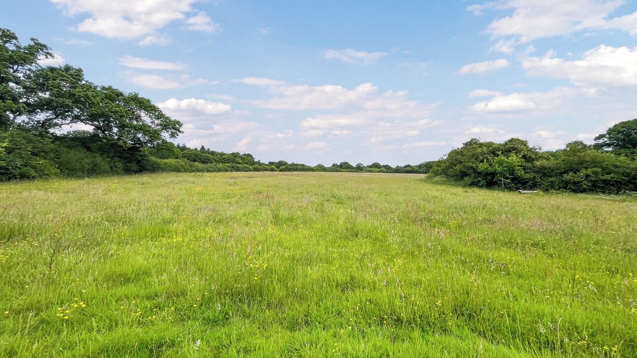 Photo of Others in Ashford