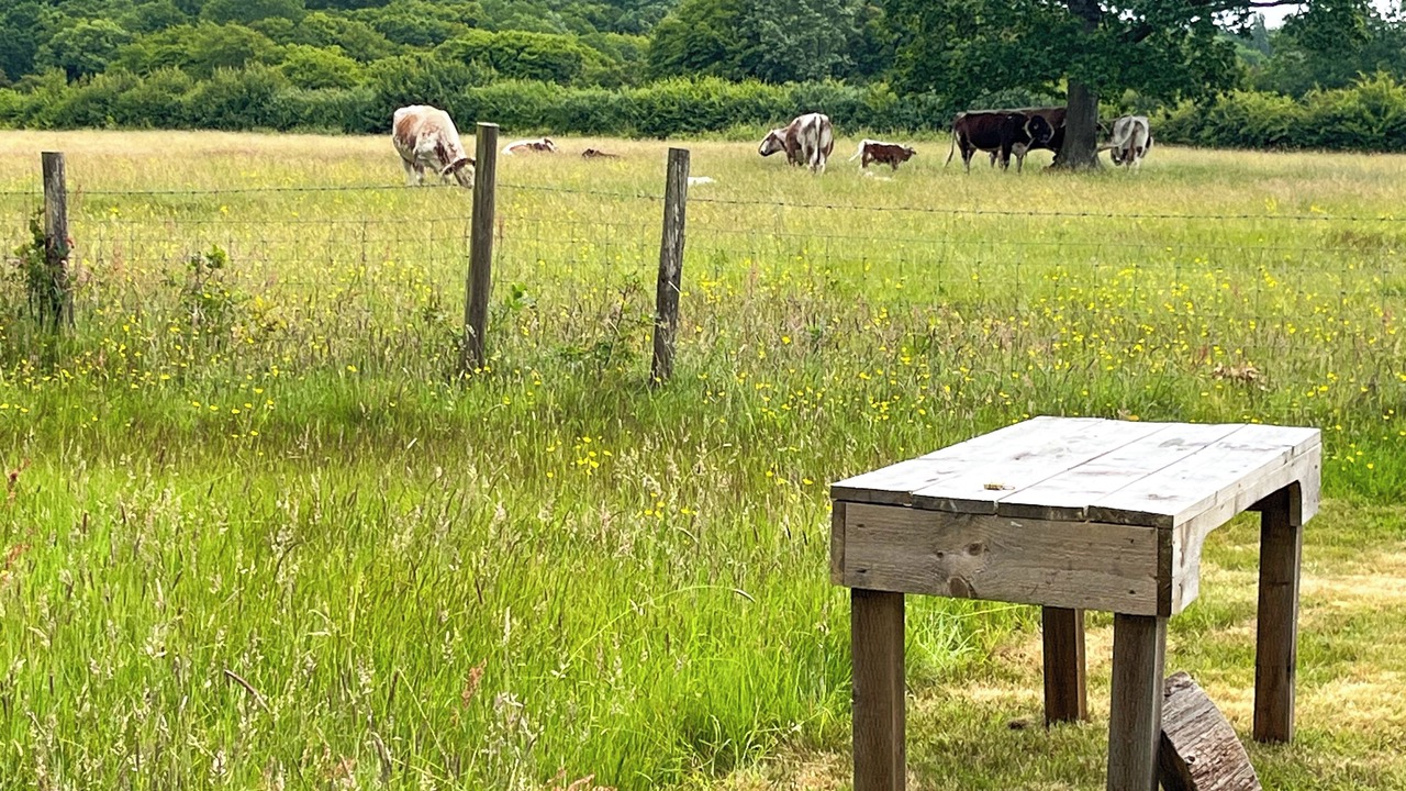 Photo of Outdoor in Ashford