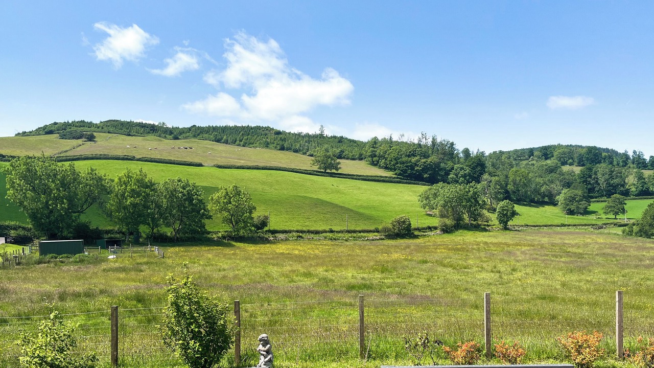 Photo of Outdoor in Newbridge