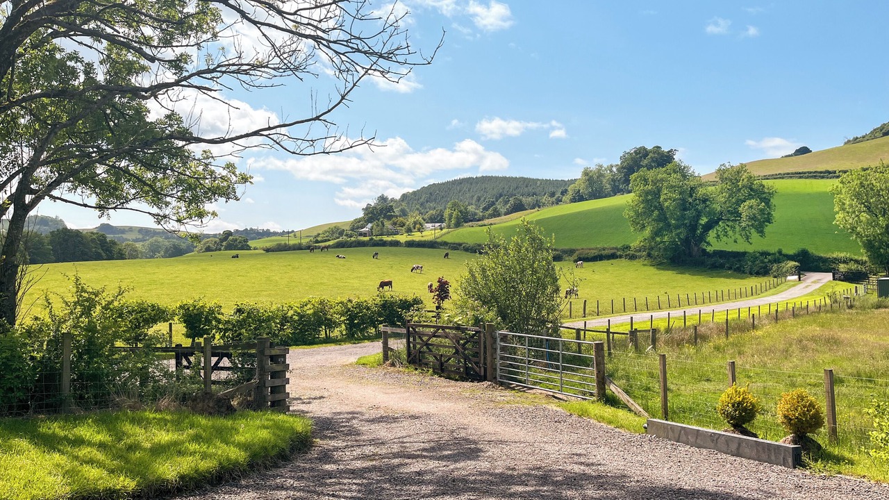 Photo of Outdoor in Newbridge