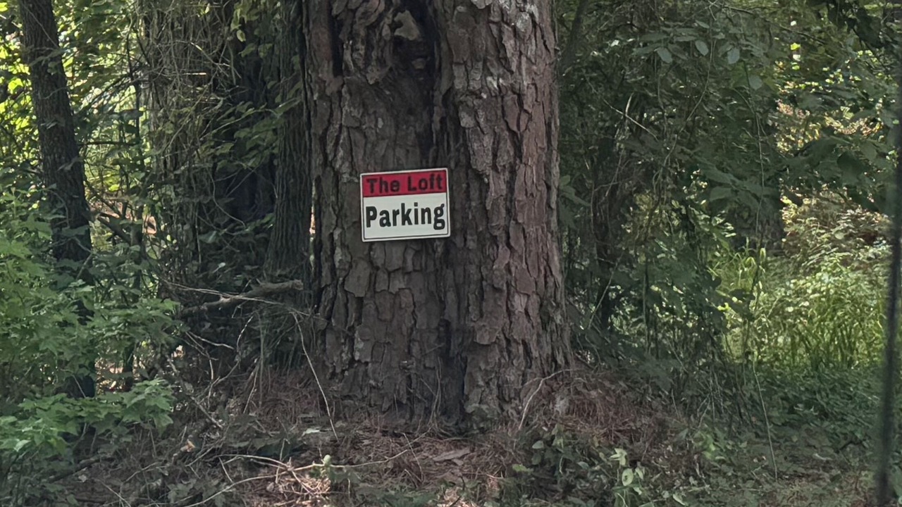 Photo of Others in Redlick