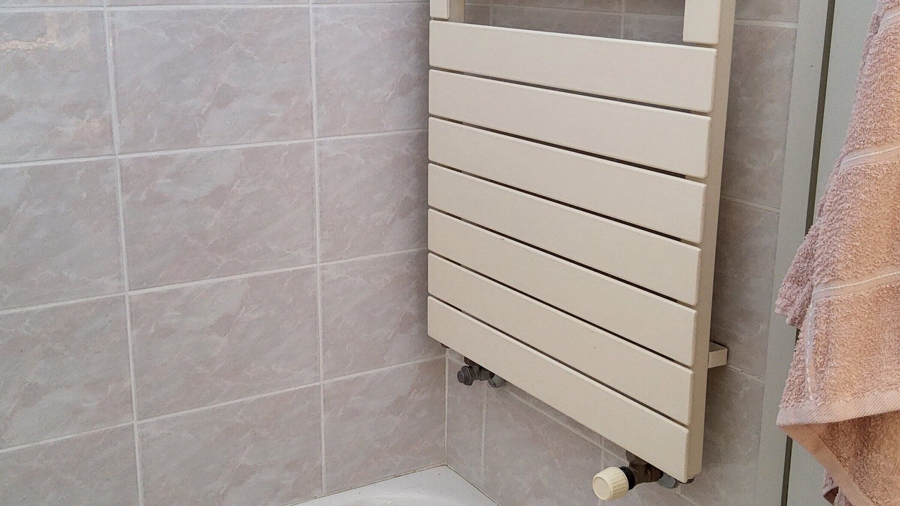 Photo of Bathroom in Agno