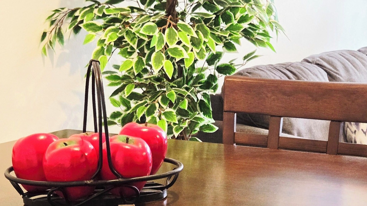 Photo of Others in Ensenada