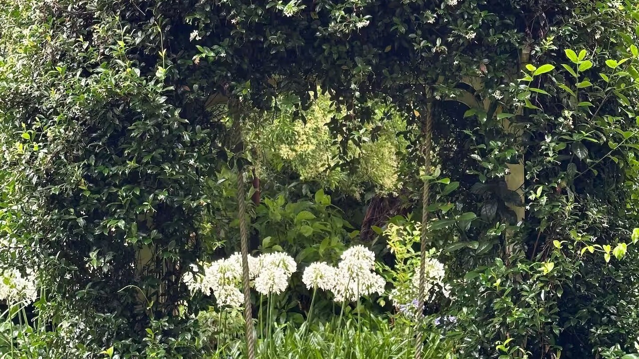 Photo of Outdoor in North Tamborine