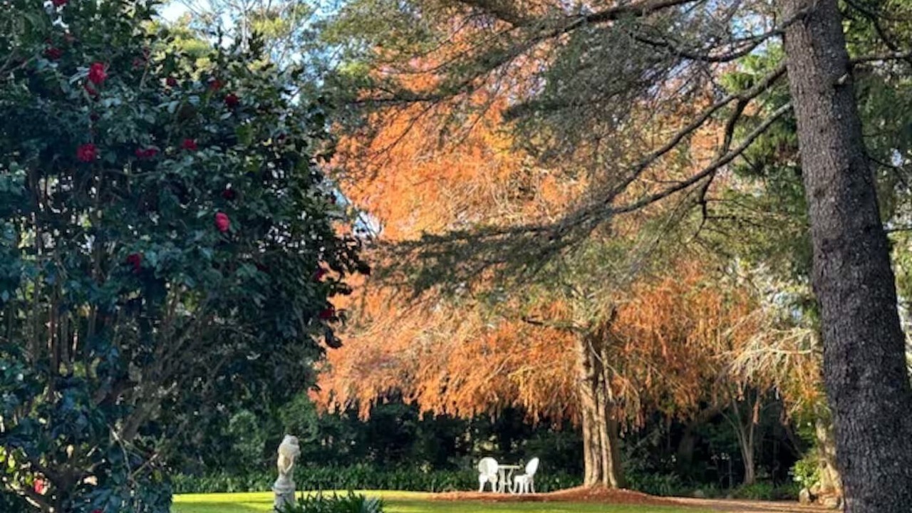 Photo of Outdoor in North Tamborine