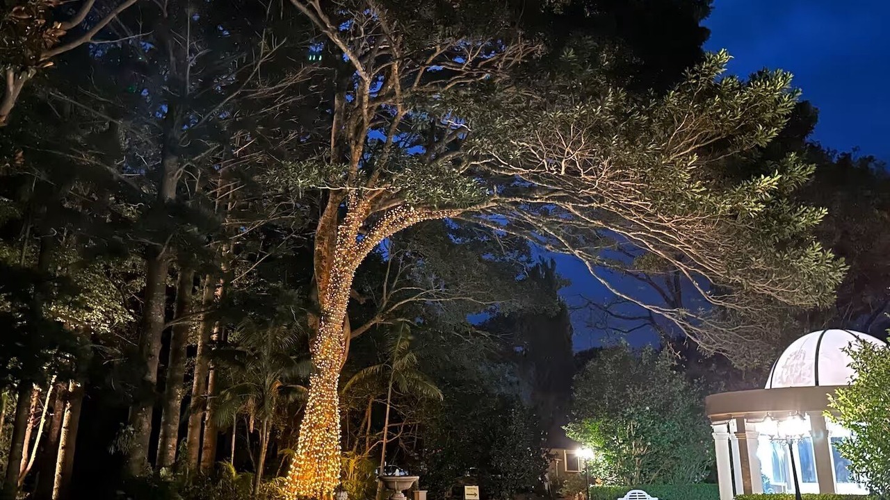 Photo of Outdoor in North Tamborine