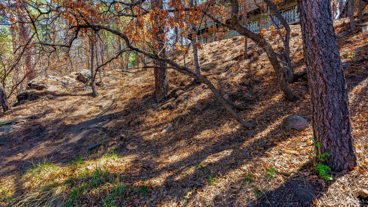 Photo of Others in Ruidoso