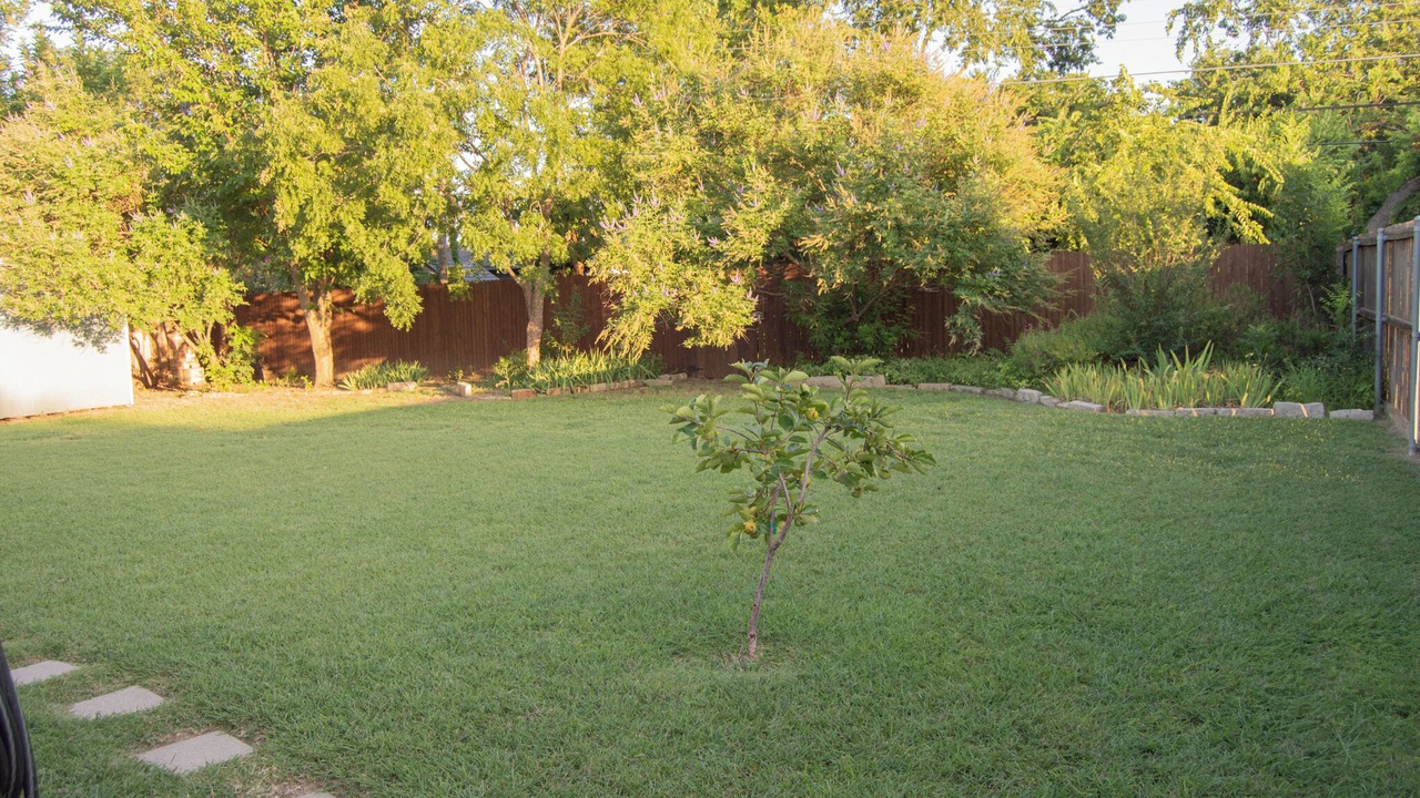 Photo of Outdoor in Frisco